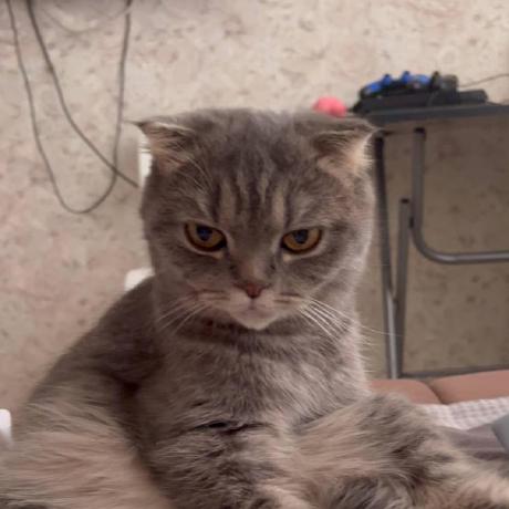 Stein Rip Stein Github - Premium Minimal Image Gallery - Mobile