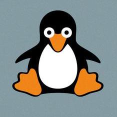 Hi Suo Github - Premium Light Photo Gallery - Desktop