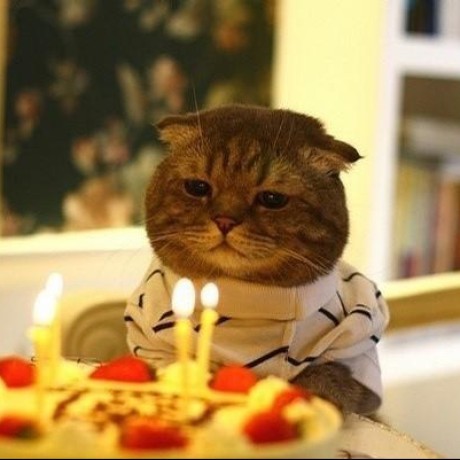 Issue 101 Xizhibei Blog Github - Download Professional Light Image | Desktop