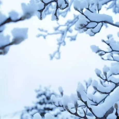 Lixin Hub Xin Li Github - Gorgeous Ocean Texture - 4K