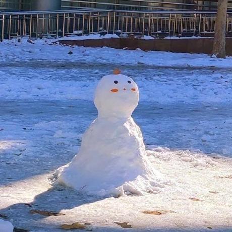 Hanghang0219 Hanghang Github