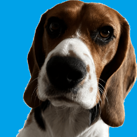 Fonanutza Florentina Suciu Github - Download Gorgeous Ocean Illustration | 4K