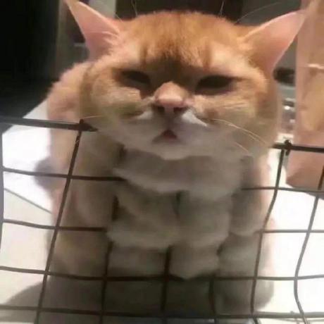 Github Openedv Openedv Wiki - Perfect Desktop Landscape Images | Free Download