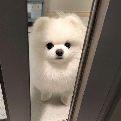 Youngjunsung Youngjun Sung Github - Elegant Retina Dark Pictures | Free Download