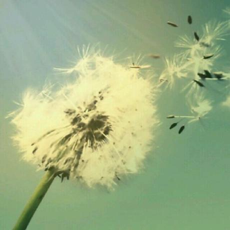 Github Scjtqs2 Proxifier Ubuntu Ubuntu Iptables - Mobile Ocean Backgrounds for Desktop