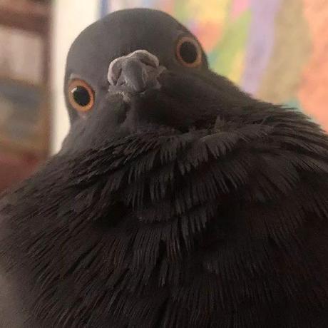 Itsverum Veronika Github - Premium Landscape Design Gallery - Full HD