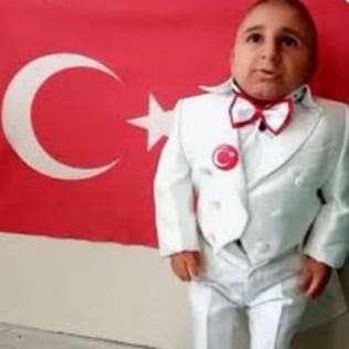 Github Kapsentxdd T M Eski Botlar - Premium Geometric Picture Gallery - 8K