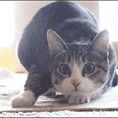 Doremims Doremims Github - Ultra HD Landscape Arts for Desktop