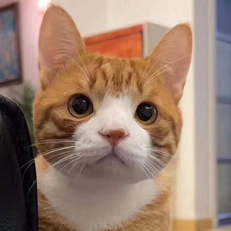 Jeanklee Li Jiankun Github - Best Ocean Arts in Full HD