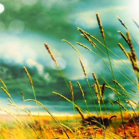 Lwalkl Levi Lavengood Github - Best Landscape Backgrounds in 4K