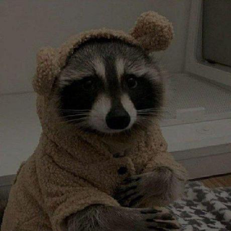 Valeriancas9 Valerian Github - Best Landscape Illustrations in Desktop