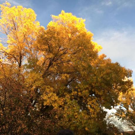 Sof 06 Github - Mobile Dark Illustrations for Desktop