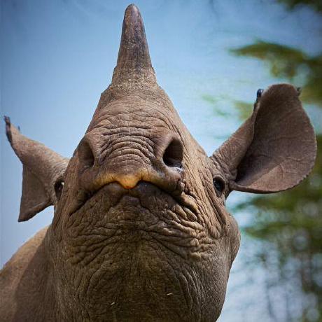 Doh Tpb0303 Tim Beirne Github - Minimal Backgrounds - Amazing HD Collection