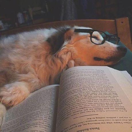 Z Danny Github - Incredible Desktop Abstract Textures | Free Download