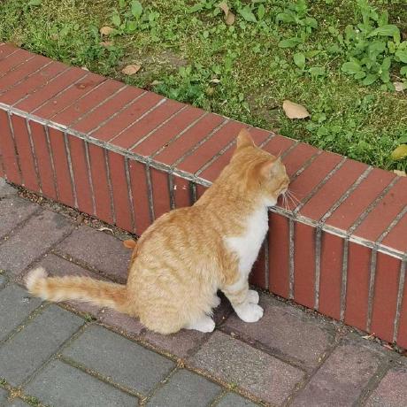 Tiantian An Github - Artistic Desktop Ocean Pictures | Free Download