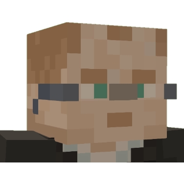 Protective Elytra Gallery - Premium Sunset Texture Gallery - High Resolution