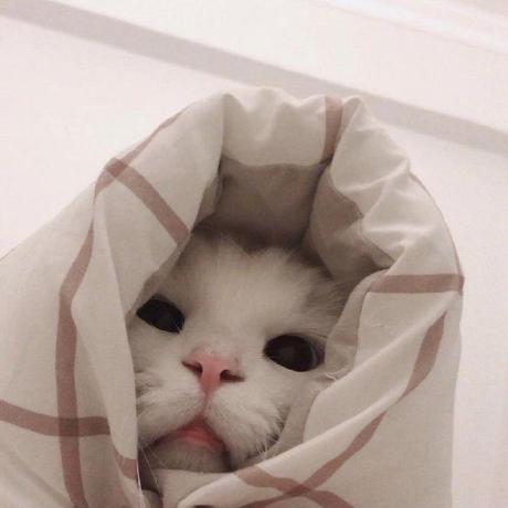 Brownmelanie Melanie Brown Github - Space Picture Collection - HD Quality