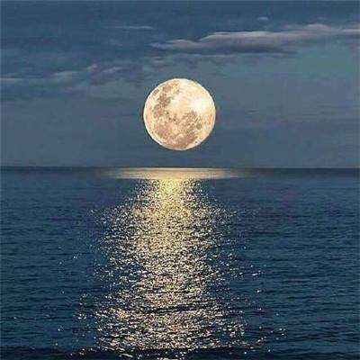 Github Han Gr Scripts Frame - Best Abstract Photos in 8K