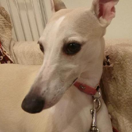 Github Nimbus1170 Mapviewer Sample - Abstract Illustrations - Beautiful 4K Collection