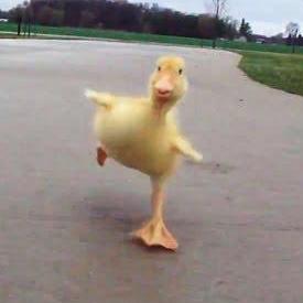 Q Duck Github - Download Incredible Light Illustration | Ultra HD