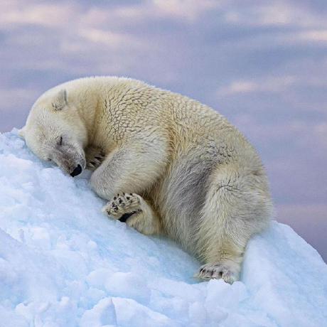 Haqi111 Baihaqi Asshiddiqie Github - Full HD Ocean Patterns for Desktop