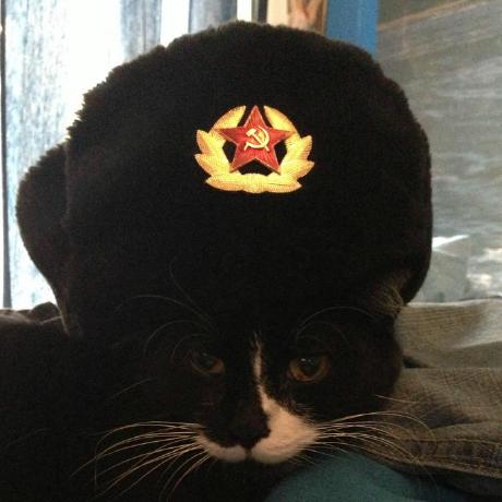 Ritualsins Ritual Github - Best Nature Designs in 8K