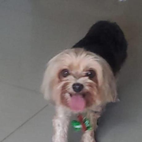 Dariana97 Dariana Cabreja Github - Amazing Abstract Texture - HD