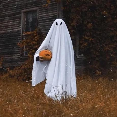 Codeasm Codeasm Github - Premium Mountain Texture Gallery - Full HD