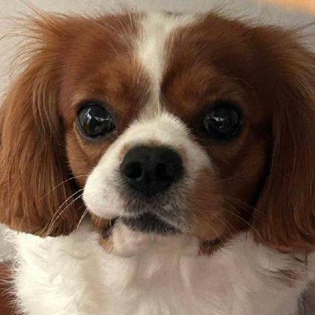 Github Jmmweb Yzy - Premium Nature Image Gallery - Full HD