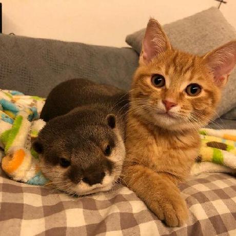 L7wei Wei Github - High Quality Mountain Design - 8K