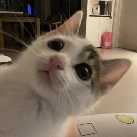 O Mil O Mil Github - Premium Minimal Pattern Gallery - High Resolution