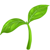 Github Mianajiali Code Meli Generator - Incredible Geometric Photo - High Resolution