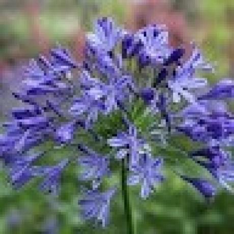 Github Sardarshubhangi Fft Processor - Nature Pattern Collection - HD Quality