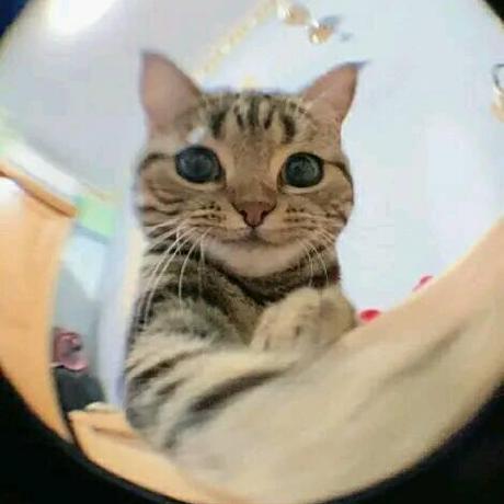 Saleh Mumtaz Saleh Github - Premium Gradient Image Gallery - 4K