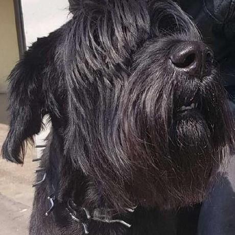 Sponsor Dev Yakuza On Github Sponsors Github - Download Gorgeous Geometric Illustration | 8K