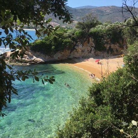 Nhomnhomm Khue Tu Github - Nature Illustrations - Creative HD Collection