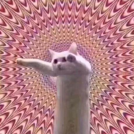 Github Ycy Github Ycy Forest - Premium Abstract Picture Gallery - Ultra HD