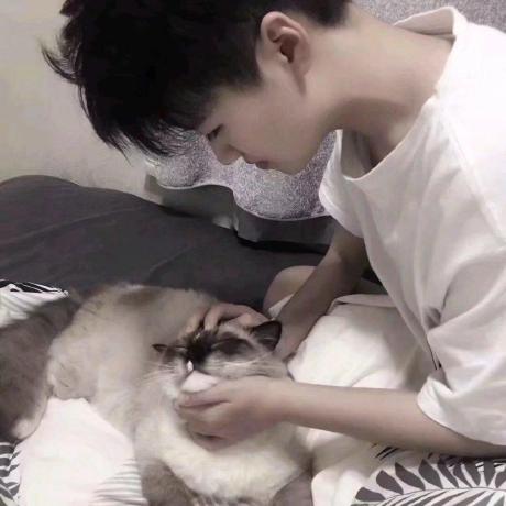 Huanchen1221 Huan Github - City Backgrounds - Stunning 8K Collection