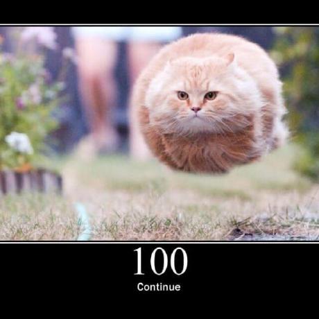 Github Lucccf Zombie Plans - Gradient Backgrounds - Premium 4K Collection