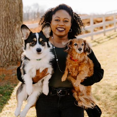 Cbaumert Ciara Github - Modern Desktop Gradient Patterns | Free Download