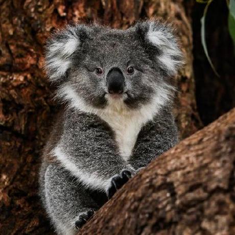 Wael9823 Wael Github - Ultra HD Sunset Picture - Mobile