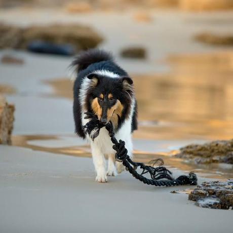 Movyser Oleg Mikheev Github - City Texture Collection - Full HD Quality