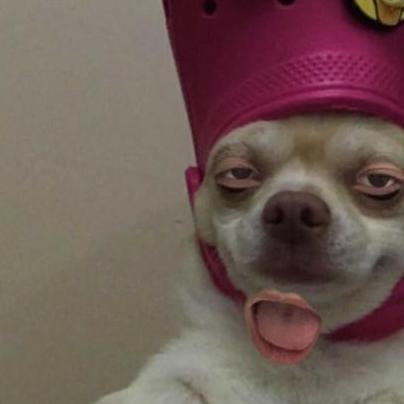 Github Mongkol Yangkorn Simpletwitter Js - Creative Ultra HD Vintage Backgrounds | Free Download