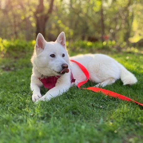 Kbullock Kevin Bullock Github - Ultra HD Gradient Textures for Desktop