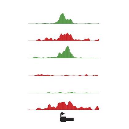 Github Gersteinlab Uorfs Output Files And Source Code For Our - Gorgeous Gradient Design - Desktop