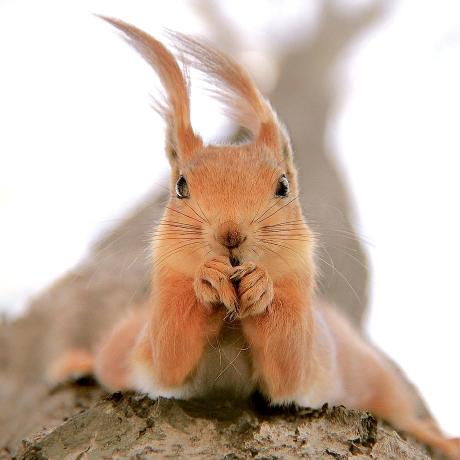 Msd Github - Best Vintage Arts in Mobile