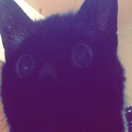 Quantummechanics Github