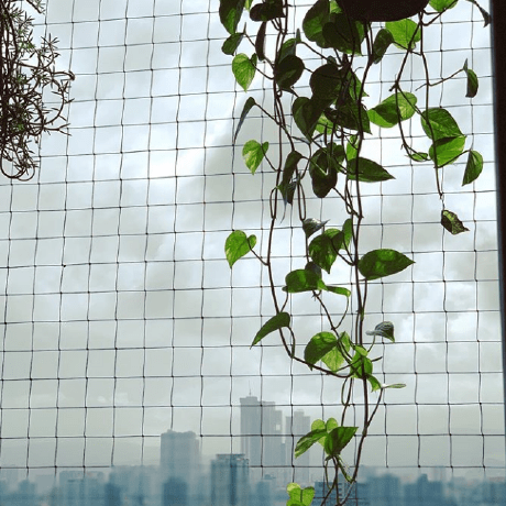 Raksha Icf Github - Creative Minimal Image - Retina