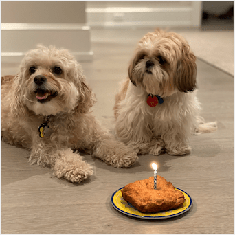 Mhartman Mike Hartman Github - Download Gorgeous City Photo | High Resolution