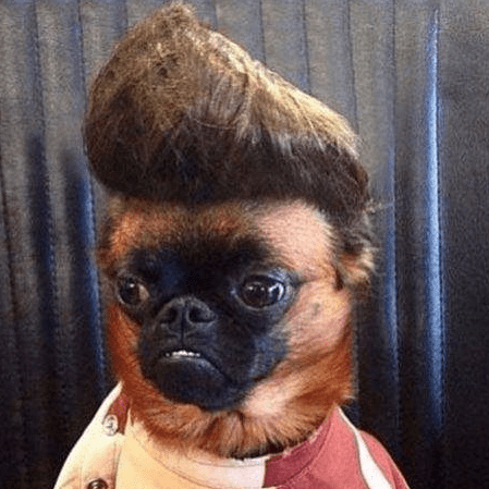 Greg Willson Github - Ocean Arts - High Quality Desktop Collection